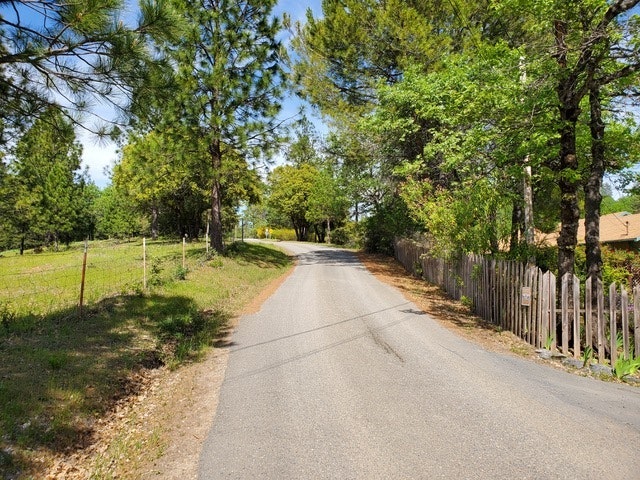 A sunny rural road with trees, a fence, and grass.