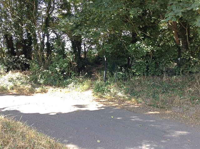 A roadside with trees, shadows, and a small footpath entrance.