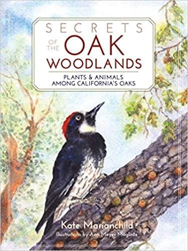 Book cover "Secrets of the Oak Woodlands" with an illustration of a woodpecker on a tree branch.