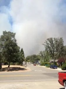 Smoke from a distant fire over a street with trees and vehicles.