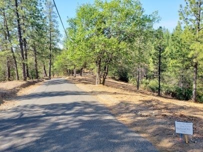 A rural road flanked by trees under a clear sky, with a small sign on the side.