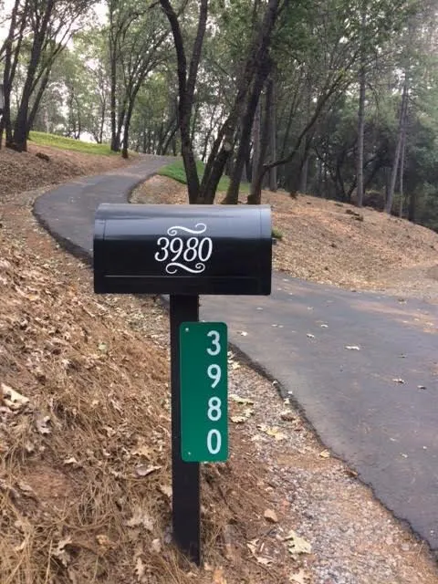 A mailbox displaying the number "3980" is positioned by a winding pathway in a wooded area.