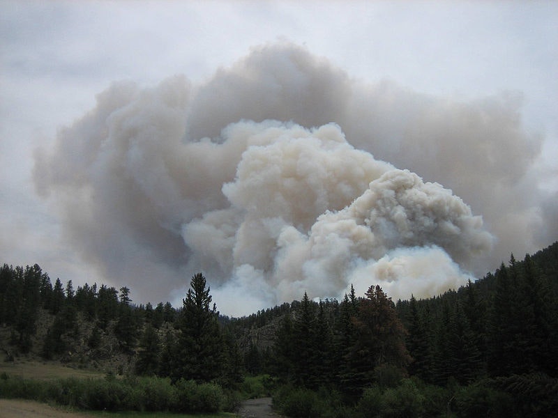 A large, billowing smoke plume from a forest fire, with trees in the foreground.