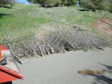 A pile of branches on a pathway, with greenery around and a partial view of a red object to the left.