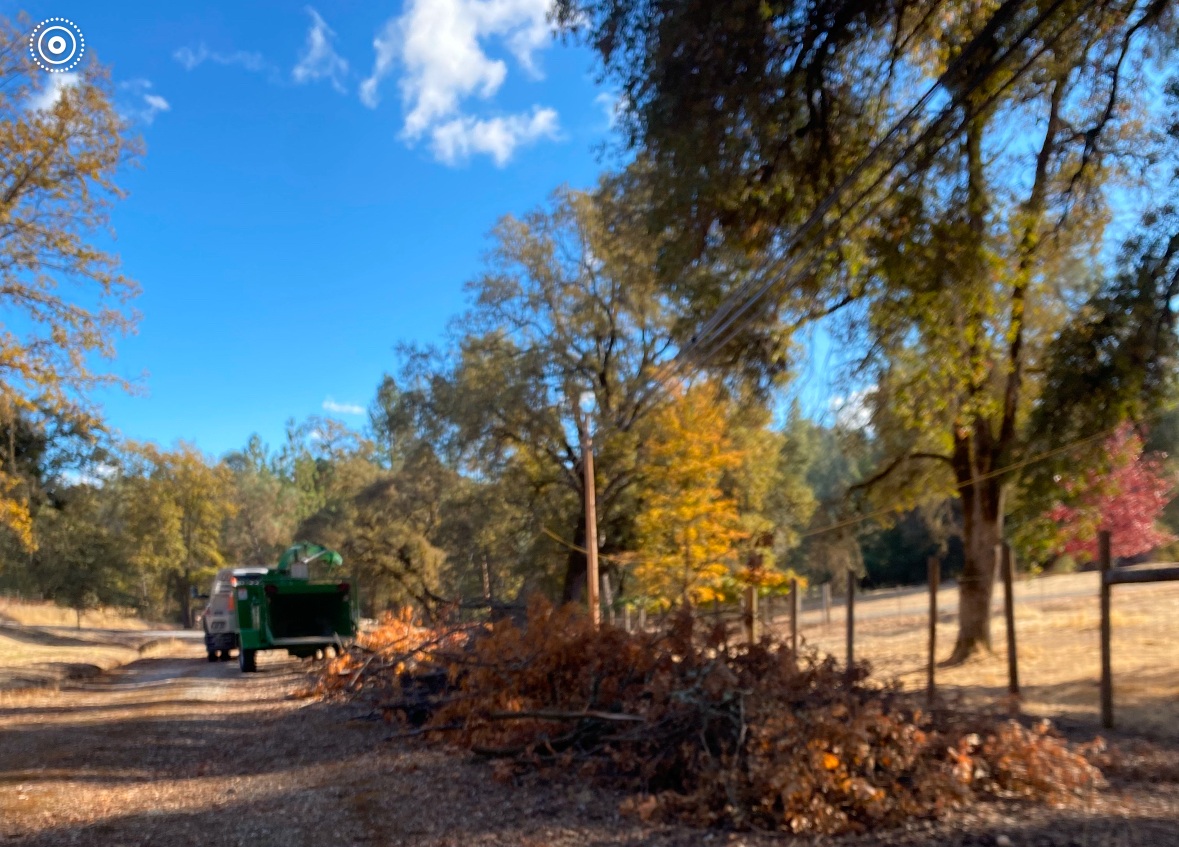 A green truck on a rural road surrounded by autumn trees, with piles of branches in the foreground.