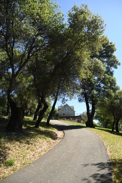A paved path leading to a house, surrounded by green trees under a blue sky.