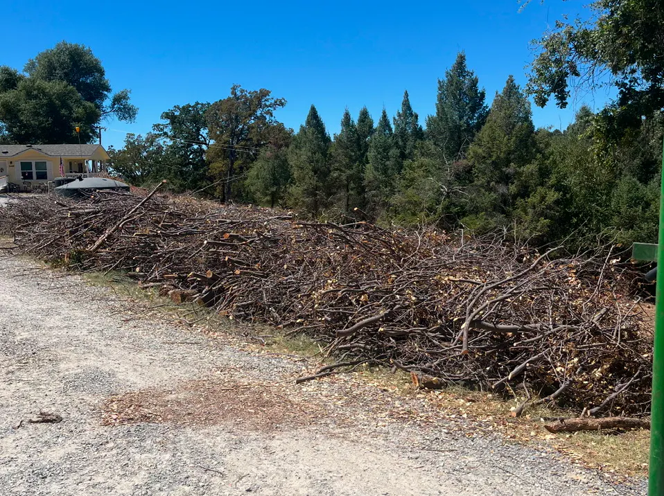 The image shows a pile of branches by a gravel path, with a house in the background and a clear blue sky.
