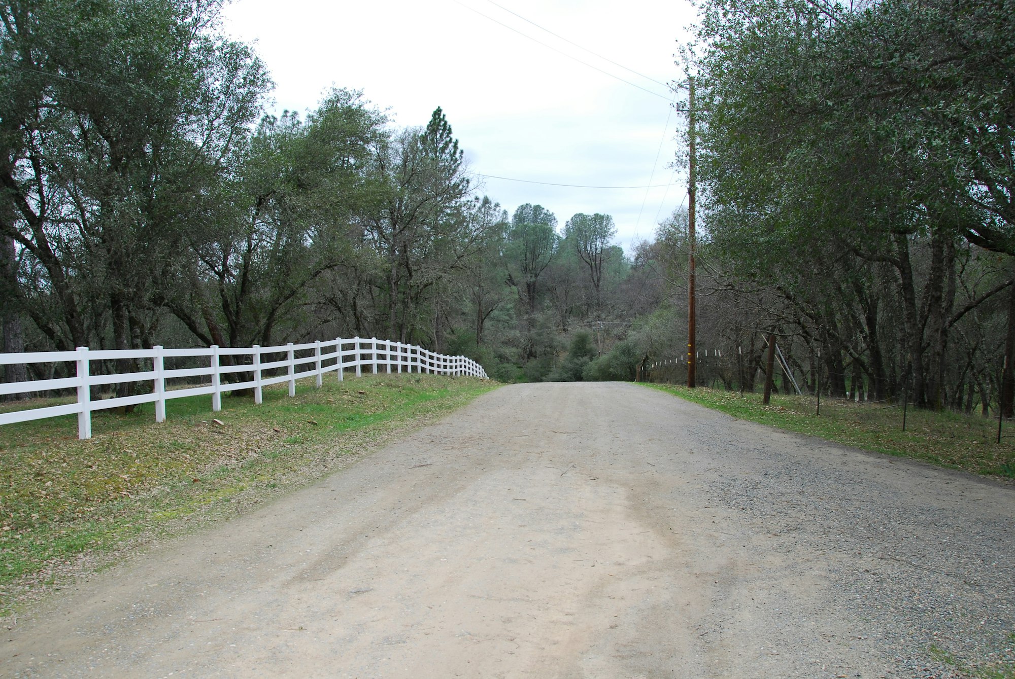 A dirt road flanked by a white fence and trees under a cloudy sky.