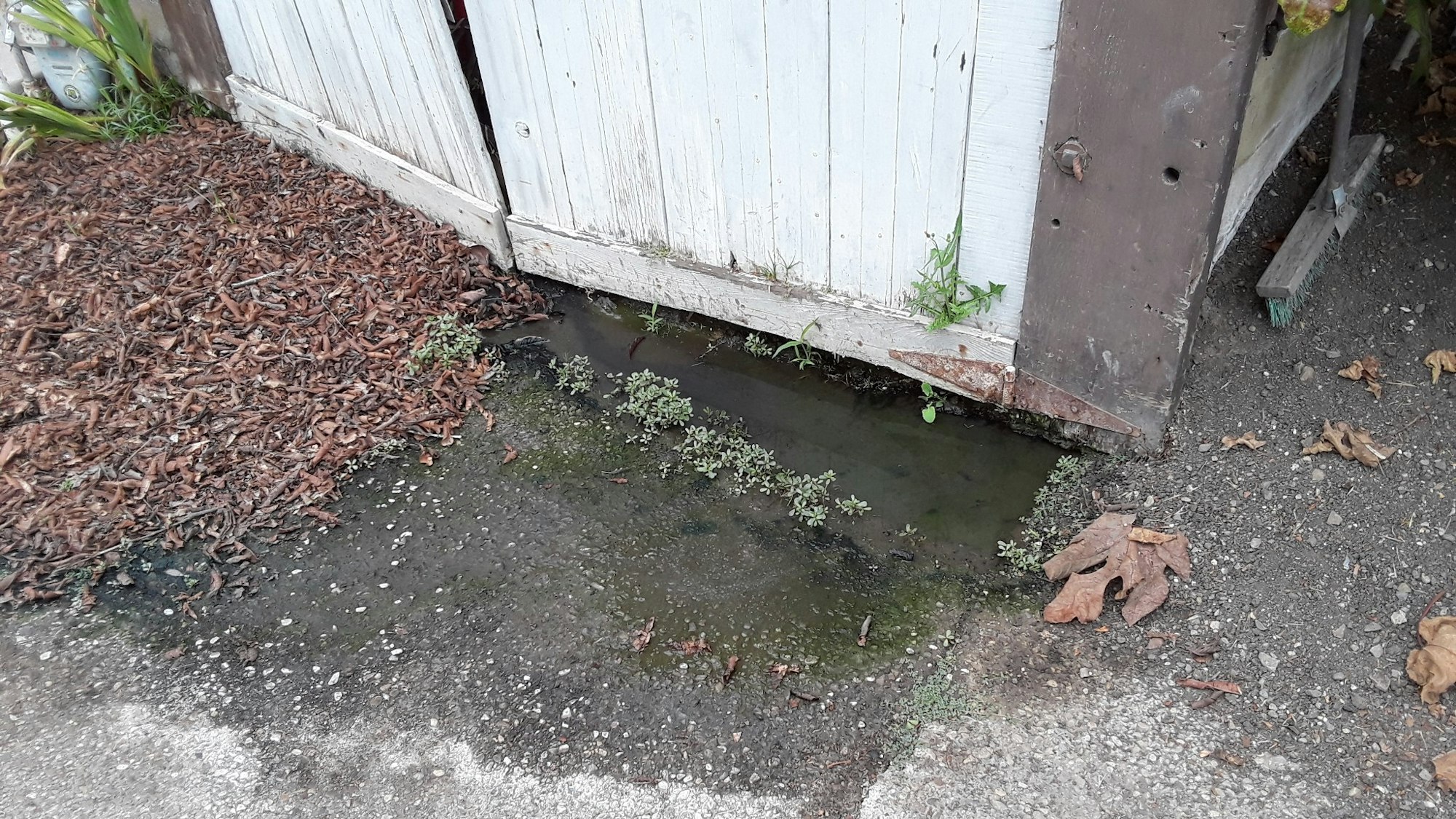 A puddle of water at the entrance to a shed.