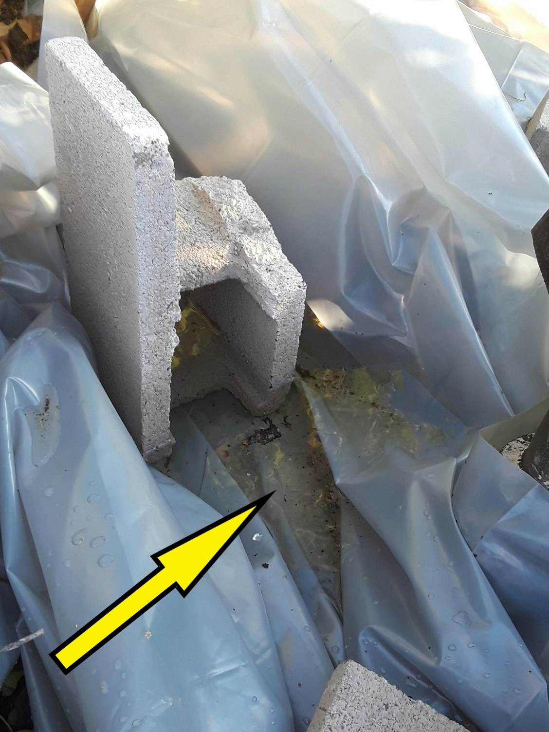 Stagnant rainwater that has collected in a pocket created in the folds of plastic construction sheeting.