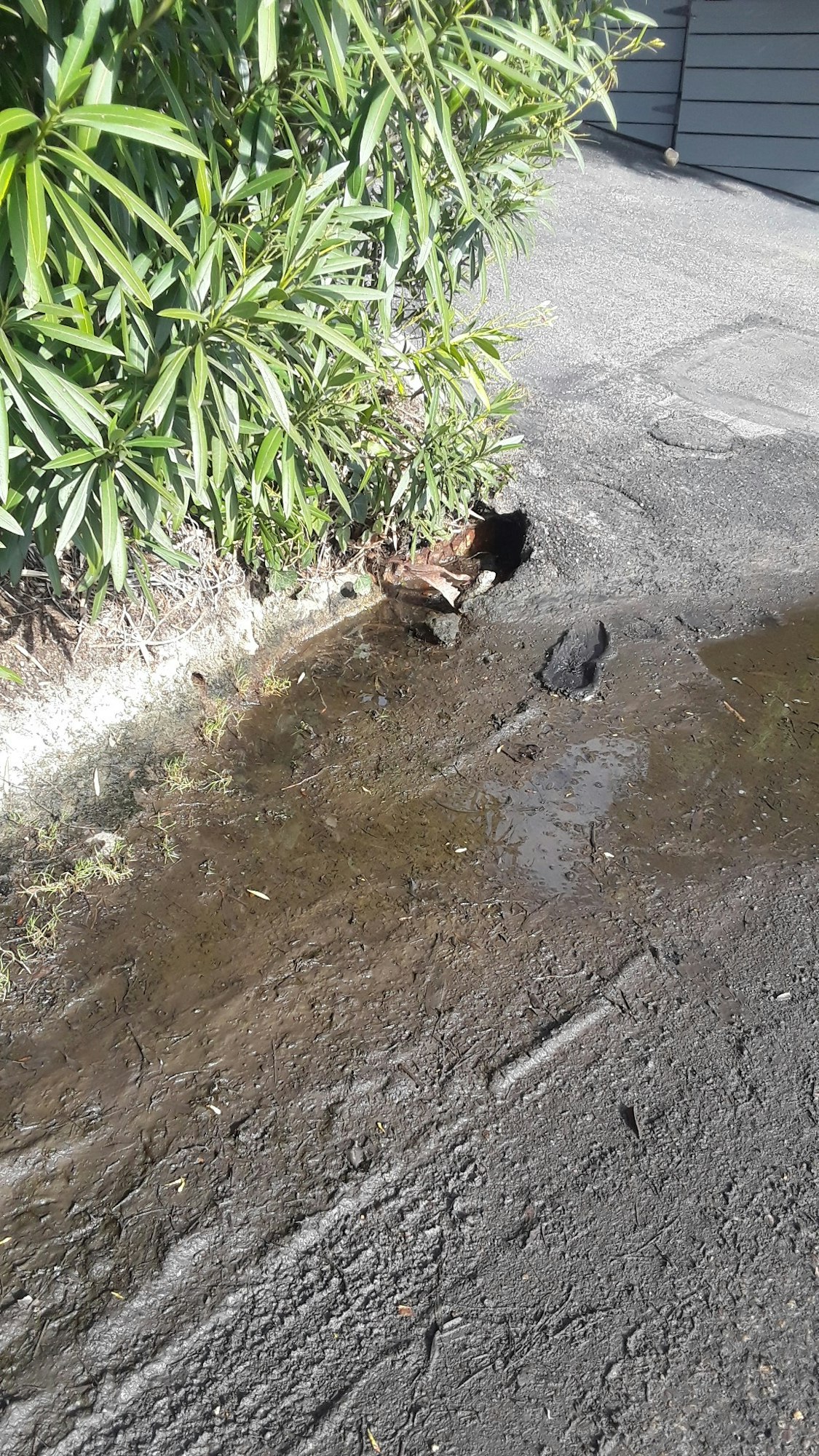 A water puddle in a street gutter.