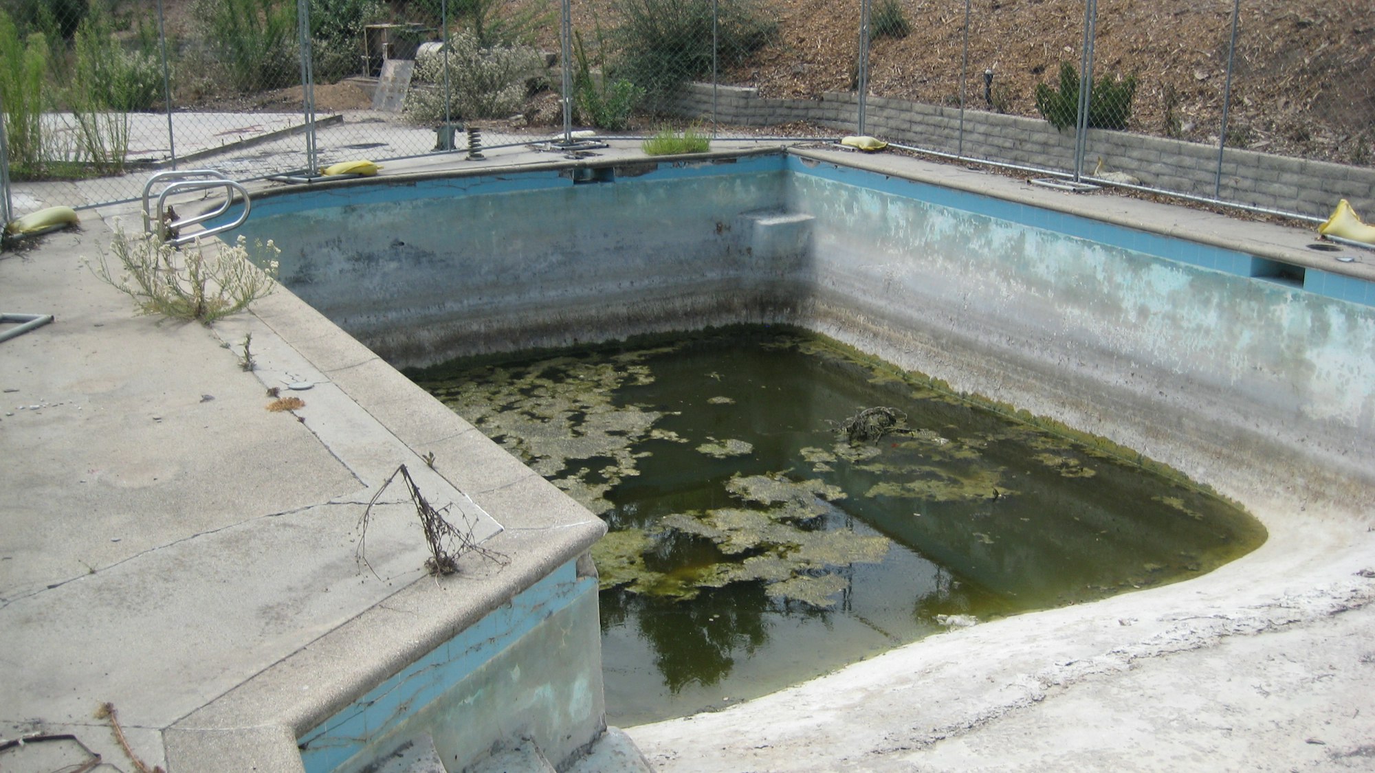 Stagnant water with algae in a neglected pool.