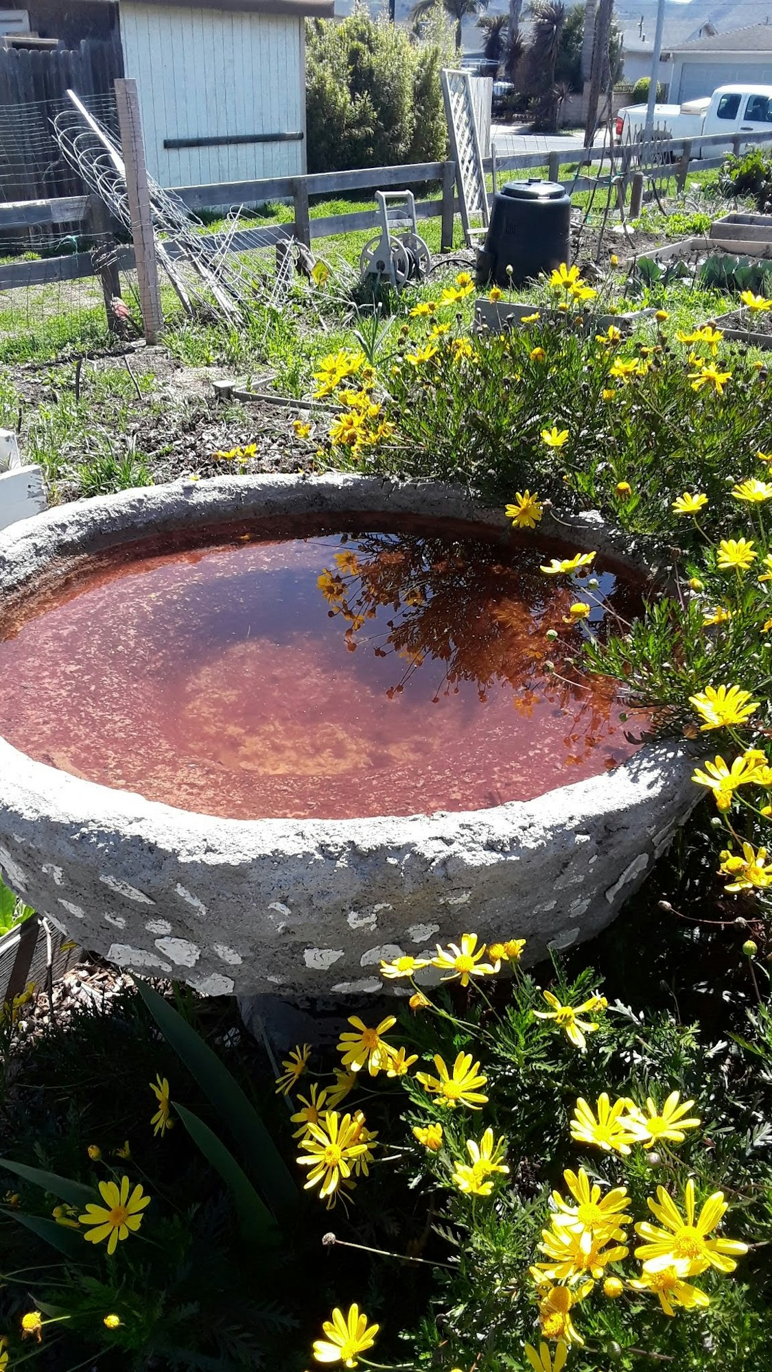 A large birdbath surrounedd by flowers