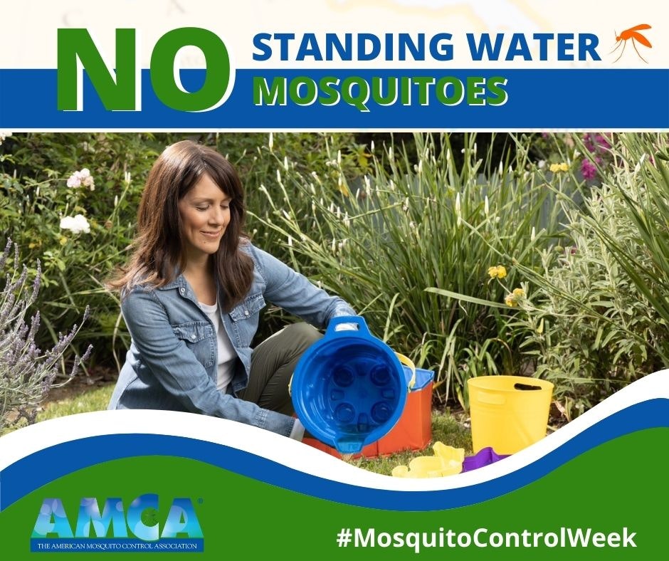 Woman dumping buckets of water where mosquitoes can lay their eggs and develop.