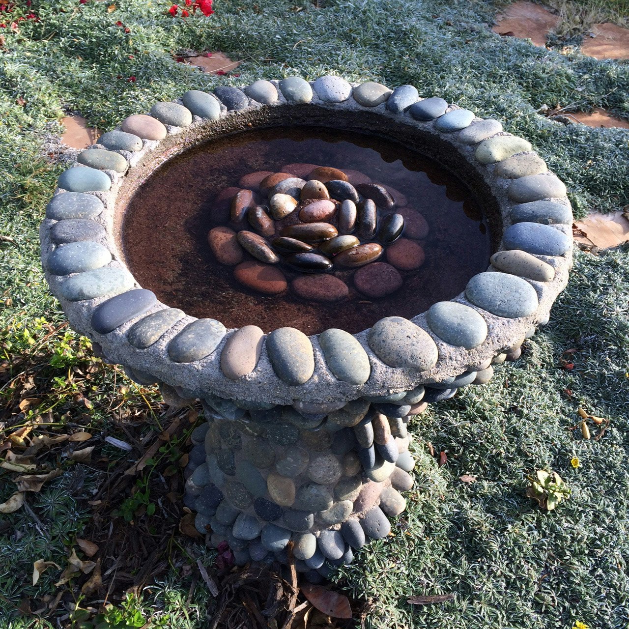 Stagnant water in a large bird bath.