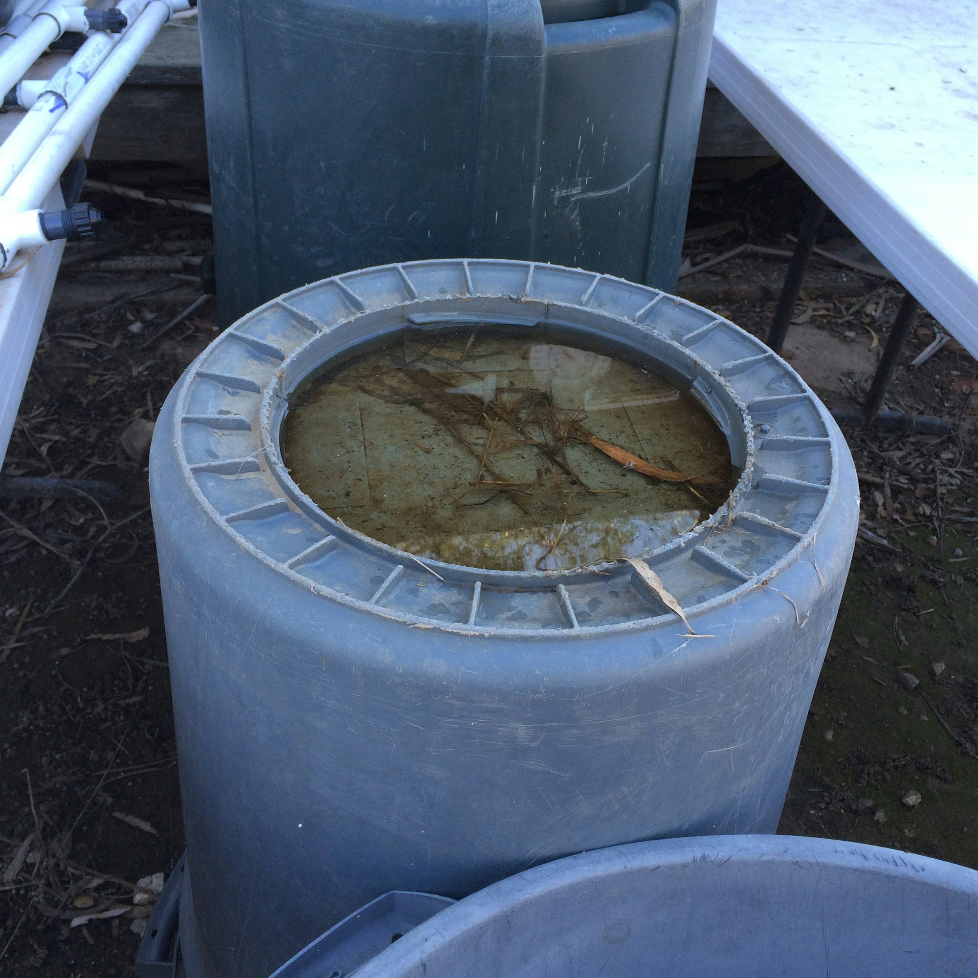 Stagnant water on the bottom of an upside down plastic garbage can.