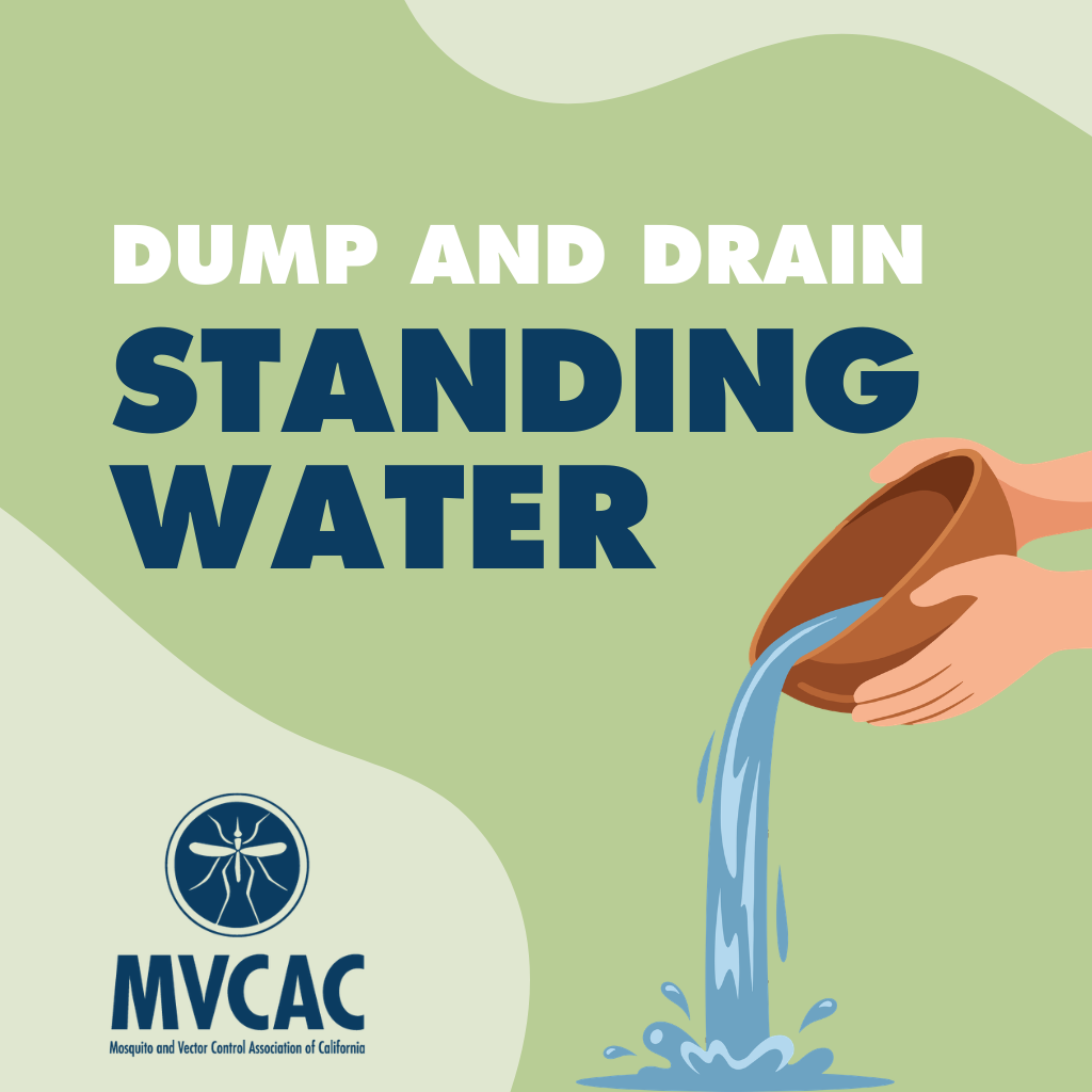 The image promotes draining standing water to prevent mosquitoes, featuring a graphic of water being poured out of a bowl.