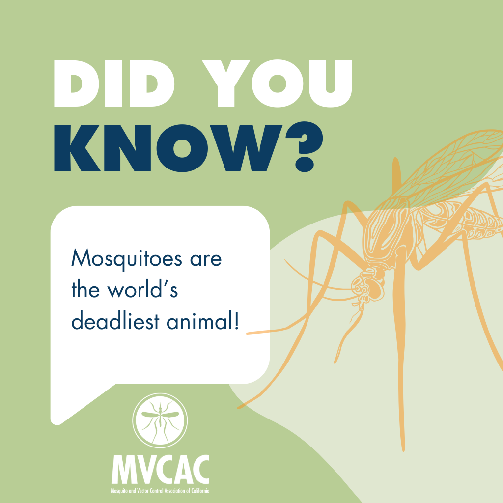 The image states that mosquitoes are the world's deadliest animal and features a design from the Mosquito and Vector Control Association of California.