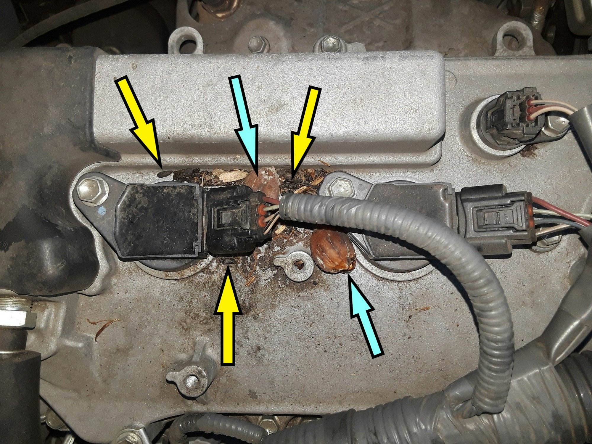 Top view of a car engine with arrows pointing to rat fecal pellets