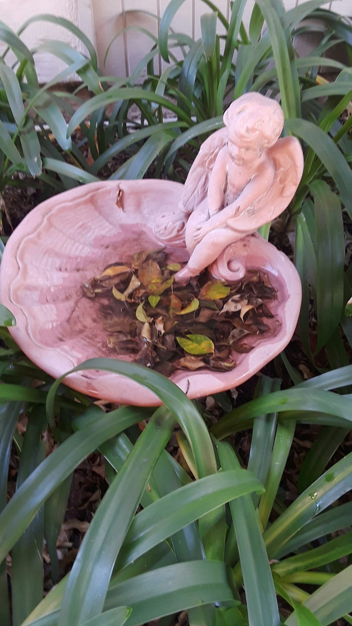 A decorative birdbath shaped like a sea shell with a small angel statue sitting on its edge.
