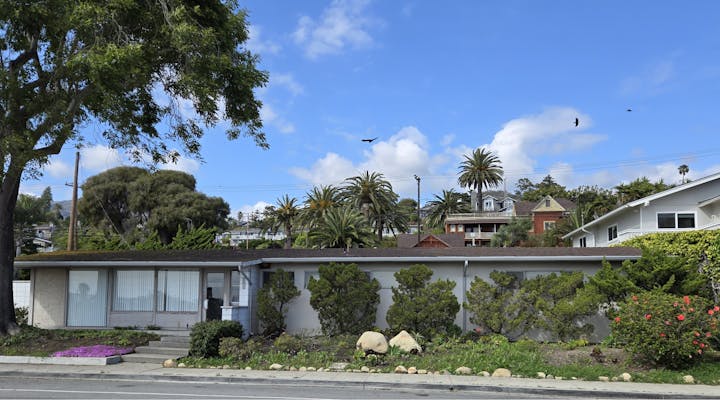 The District office with trees and bushes, palm trees in the background, and birds flying in a blue sky.