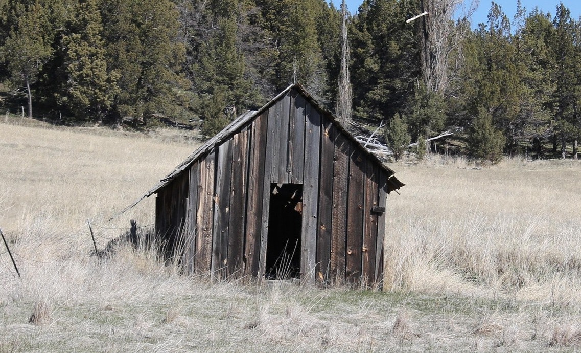 A rustic, weathered wooden shed stands alone in a grassy field, surrounded by trees in the background.