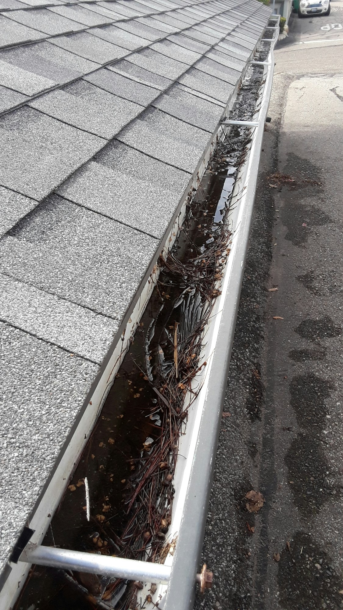 Stagnant water in a rain gutter.