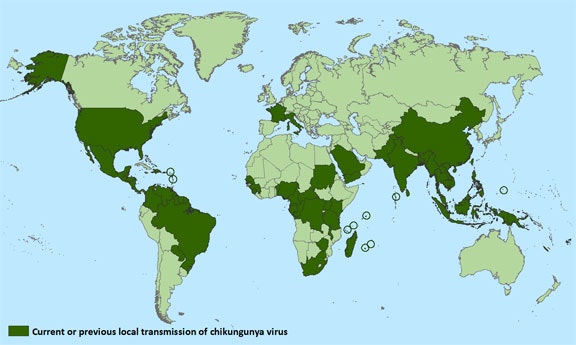 May contain: chart, plot, map, land, nature, outdoors, plant, rainforest, tree, vegetation, atlas, and diagram