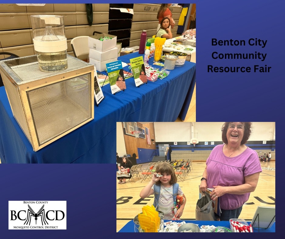 A collage showing a community resource fair with people, an informational booth, and a mosquito trap display.