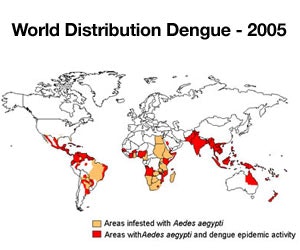 May contain: chart, plot, map, atlas, and diagram