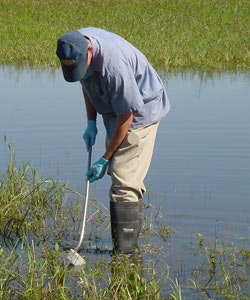 May contain: outdoors, nature, field, clothing, glove, land, pond, and water