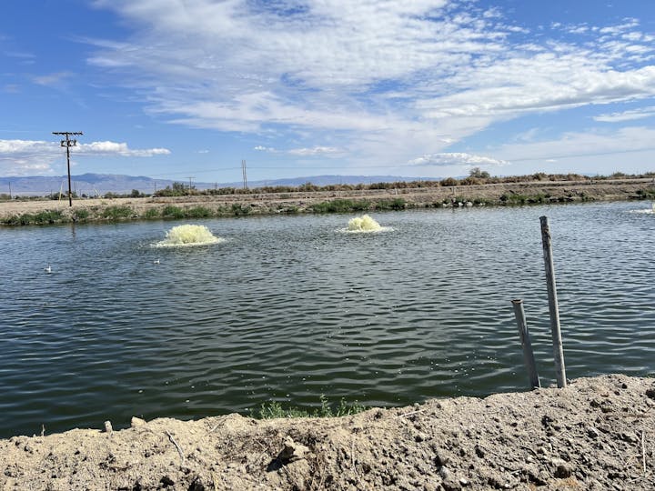 May contain: nature, outdoors, scenery, water, pond, and reservoir