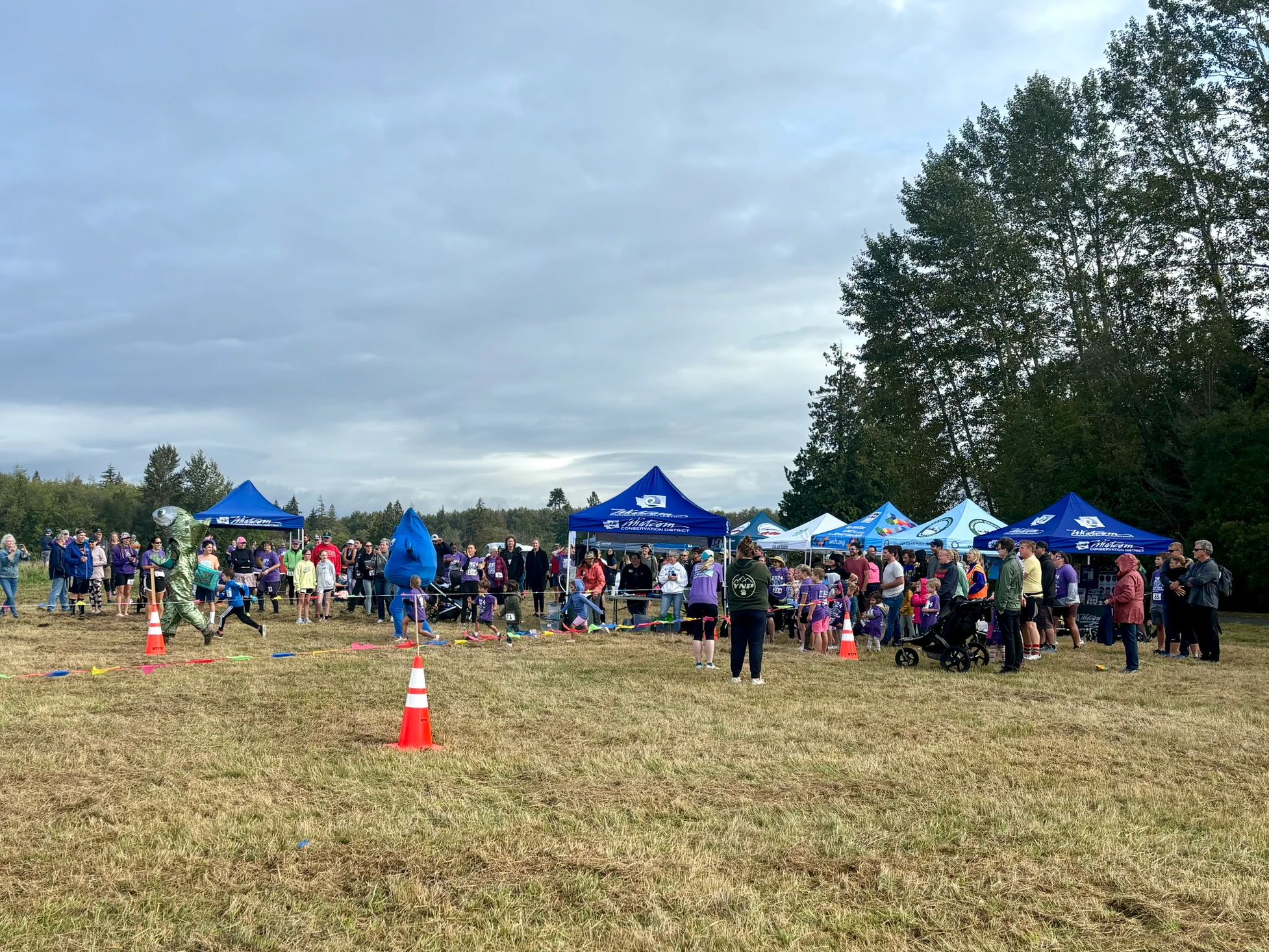 Outdoor event with people, tents, and someone in a fish costume.