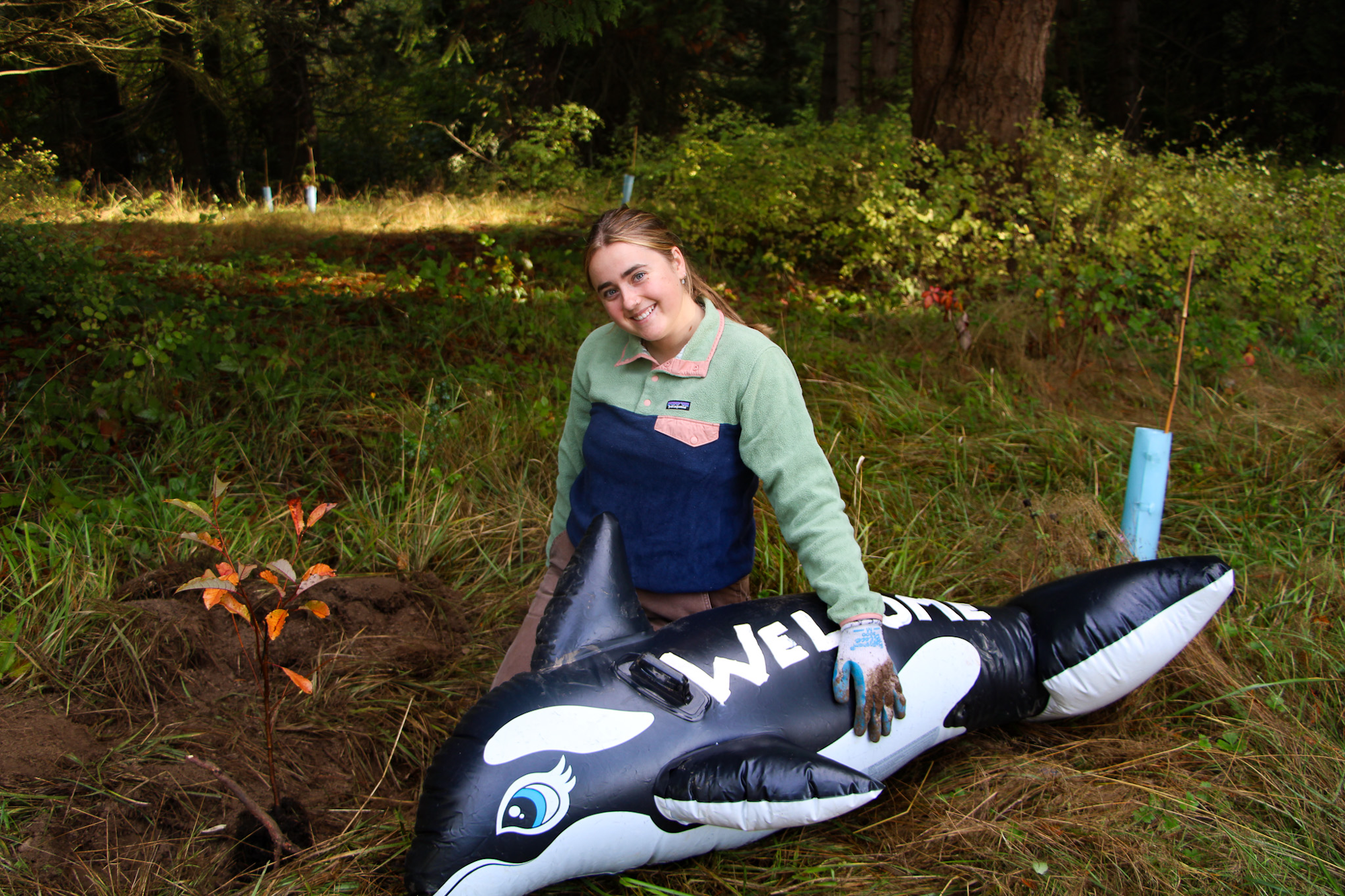 A person kneels next to a newly planted tree and an inflatable orca with "WELCOME" on it, in a grassy area.