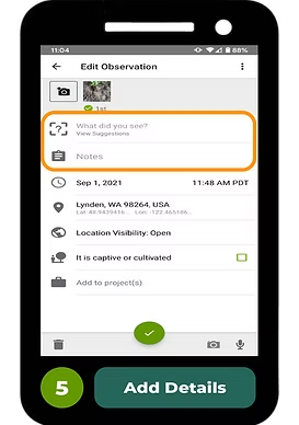 A mobile app screen for editing an observation, showing fields for notes, date, location, and project details.