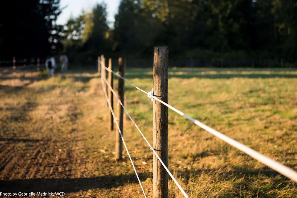 A wooden fence lines an open grassy field with trees in the background.