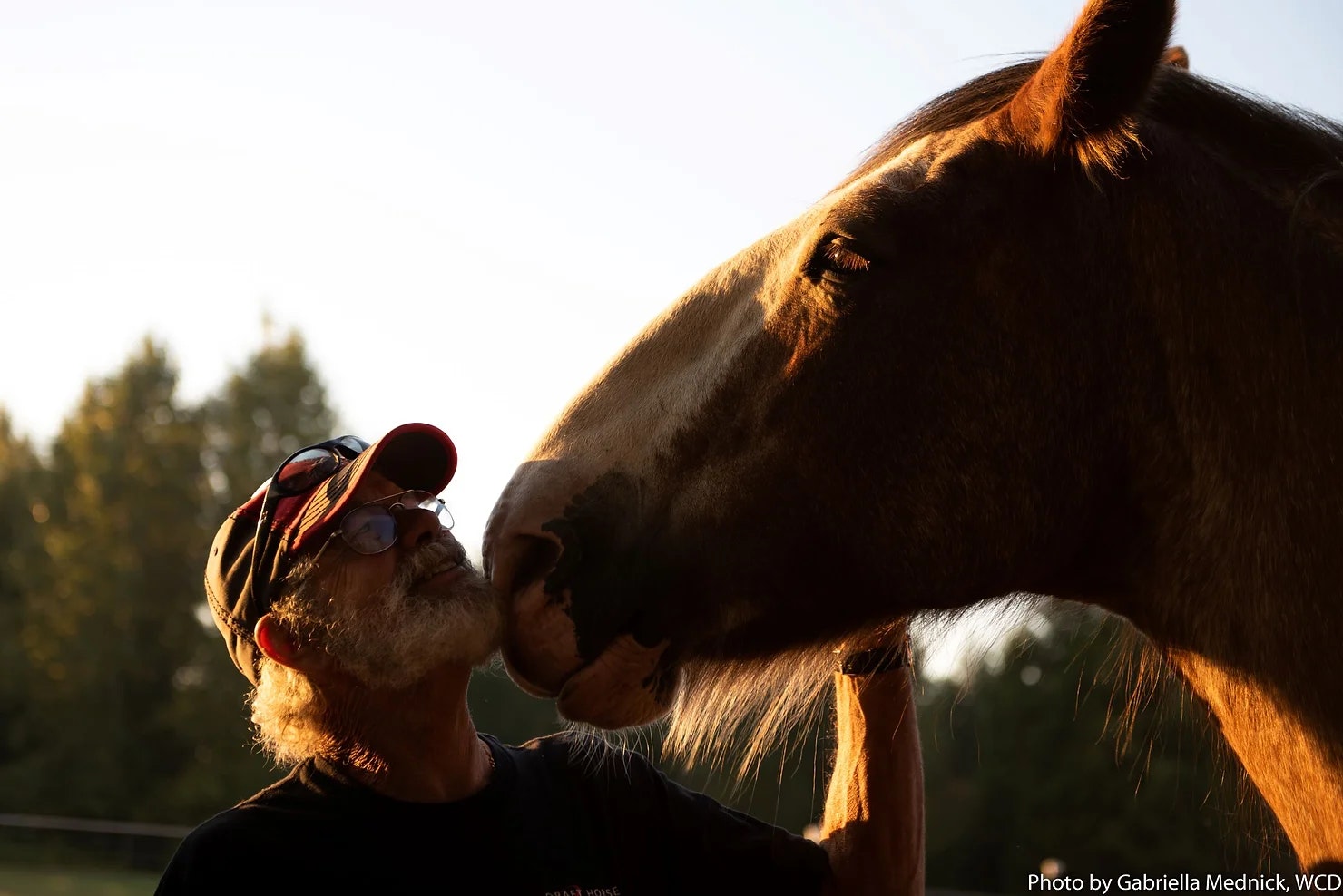 A person wearing a cap is affectionately nuzzling a horse outdoors.