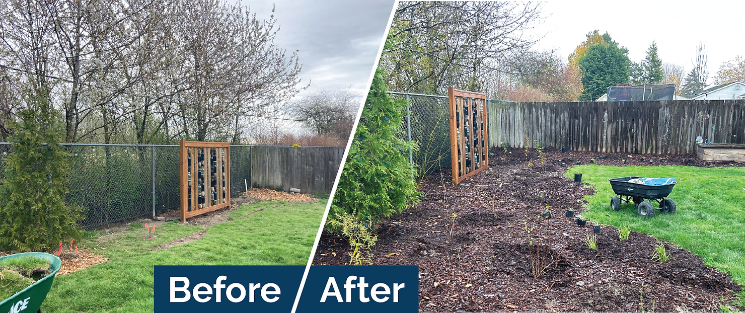 Garden area before and after transformation with added mulch and plants.