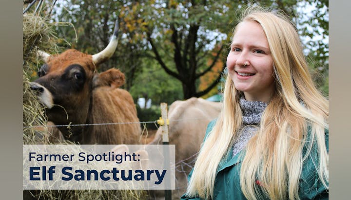 A person smiling next to a cow eating hay, with text: "Farmer Spotlight: Elf Sanctuary."
