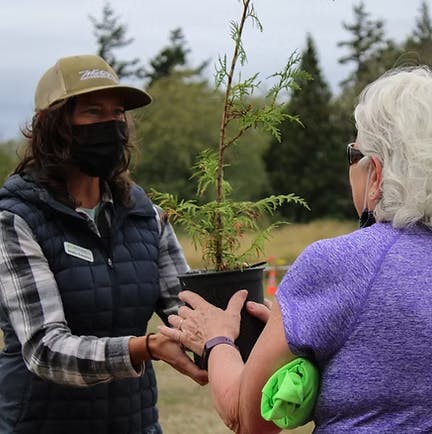Two people are exchanging a small potted tree outdoors; one is wearing a hat and mask.