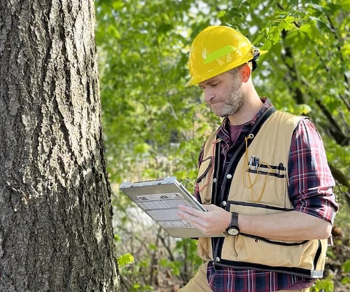 A man in a hard hat and vest inspects a tree, holding a clipboard, in a forest setting.