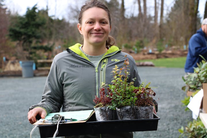 Person holding a tray with small plants in plastic pots outdoors.