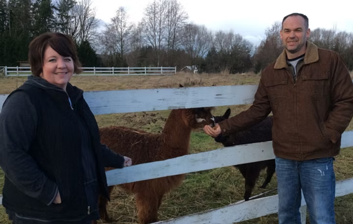 Two people are standing by a fence, interacting with alpacas in a field.