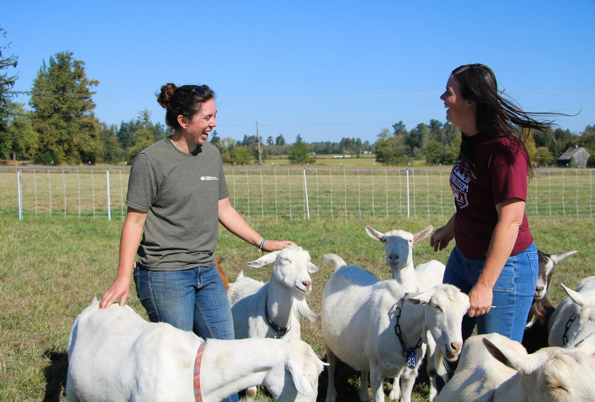 Two people smiling and interacting with goats in a sunny field.