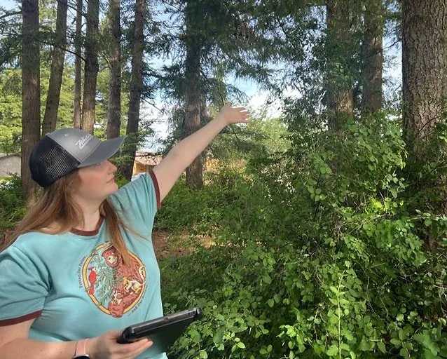 A person in a cap points at trees in a forested area while holding a tablet.