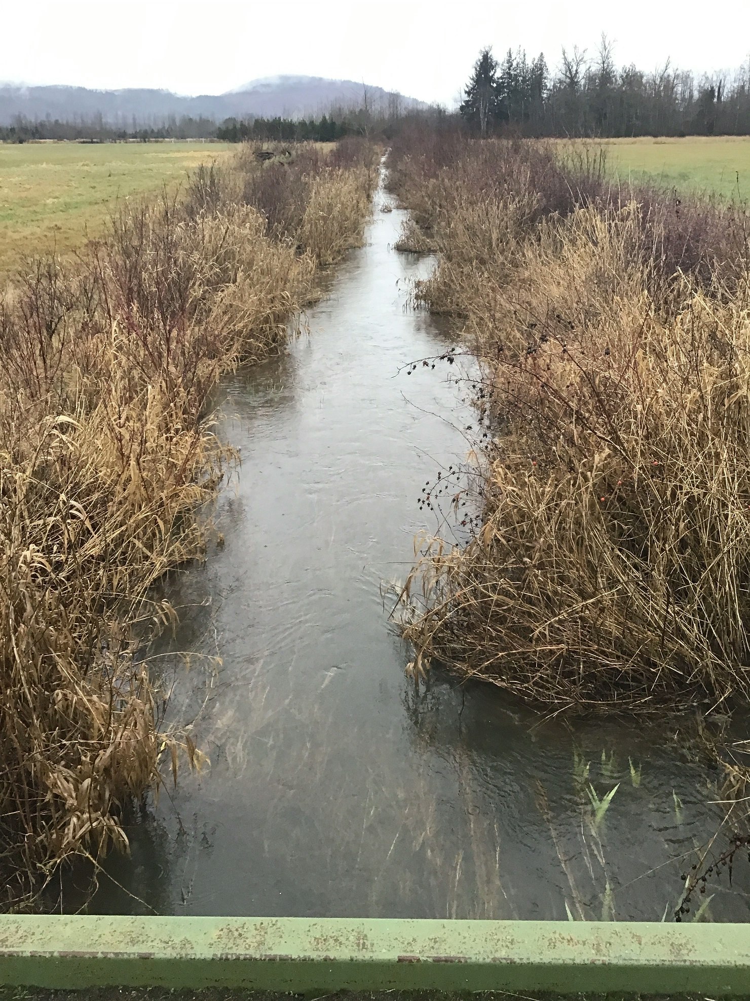 A narrow stream flows between grassy banks with distant trees and hills under an overcast sky.