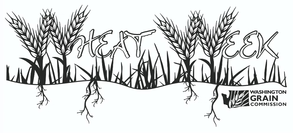 Illustration of wheat with "Wheat Week" text integrated, and Washington Grain Commission logo.