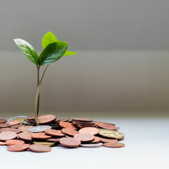 A small plant growing from a pile of coins, symbolizing financial growth or investment.