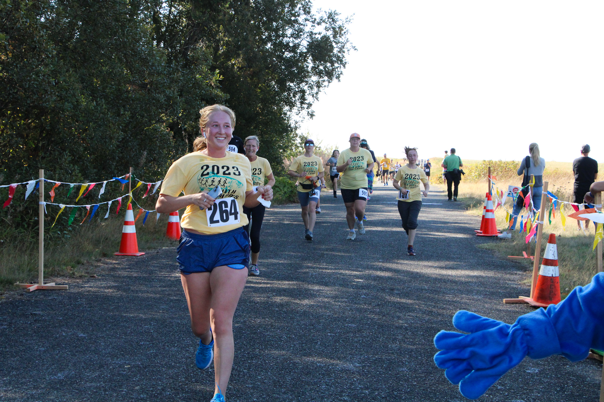 A person with bib number 264 runs in a race, followed by others, on a road lined with colorful flags.