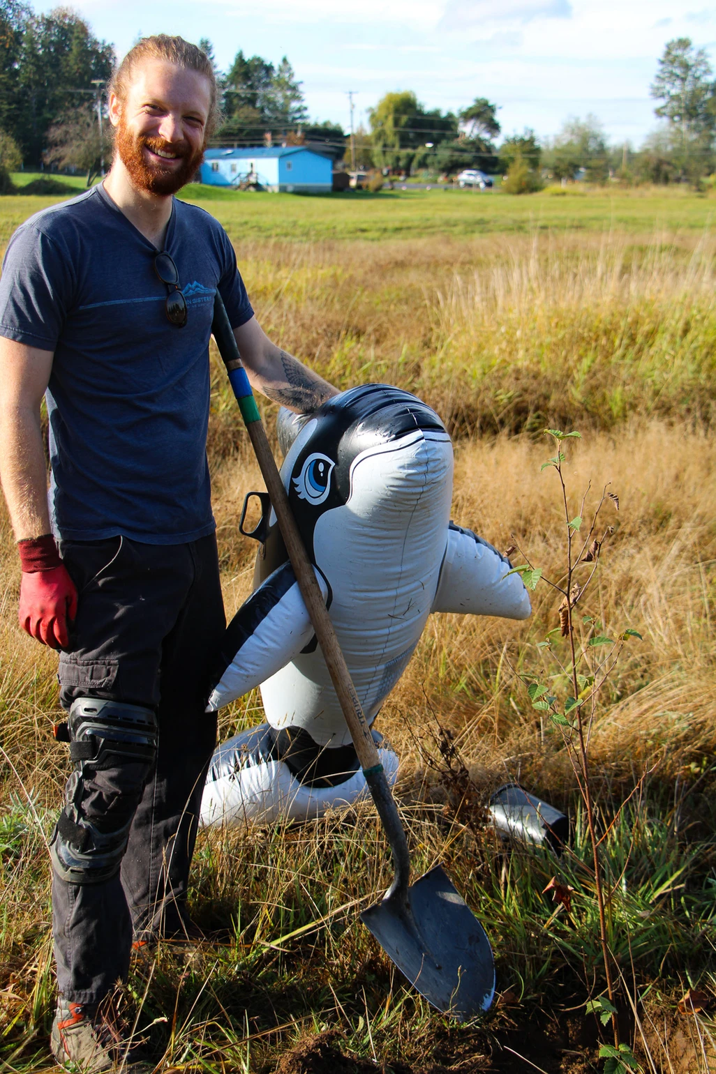 A person with a shovel stands outdoors next to a large inflatable orca.